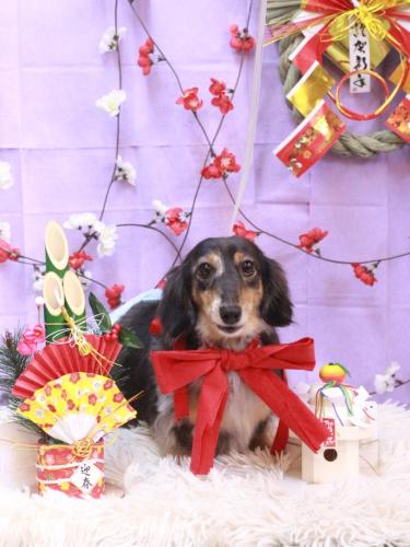 20230125ムギくん